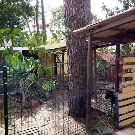 Helen Beach Village Роскошный шатер Шарнека